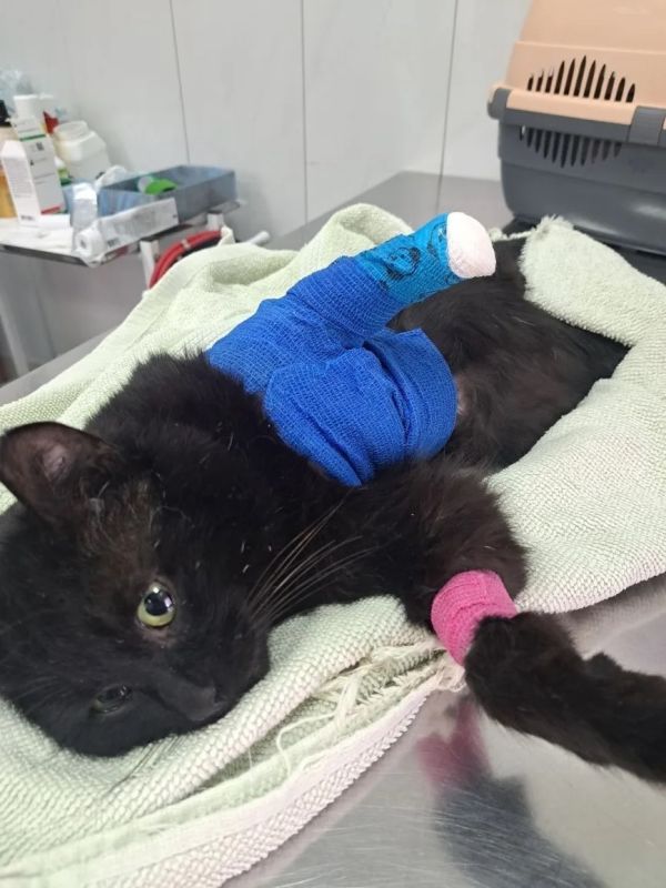 КаспийИнфо. Новости Астрахани и региона