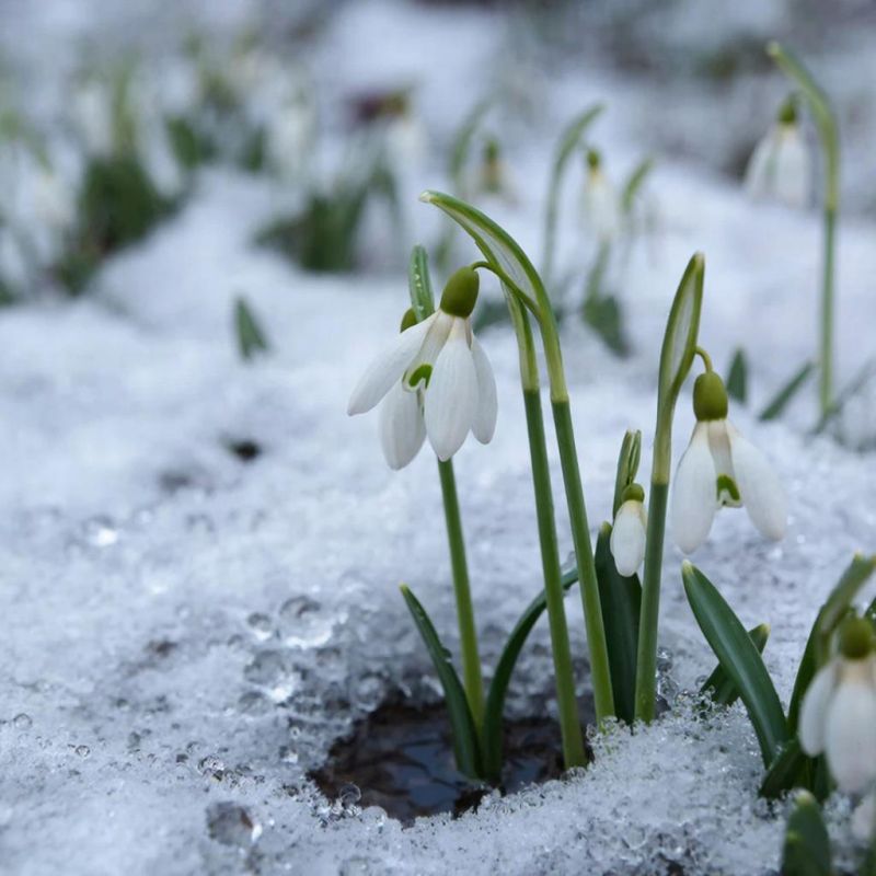 КаспийИнфо. Новости Астрахани и региона