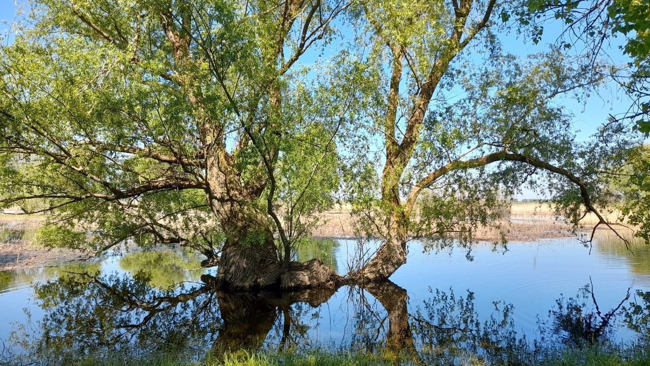КаспийИнфо. Новости Астрахани и региона
