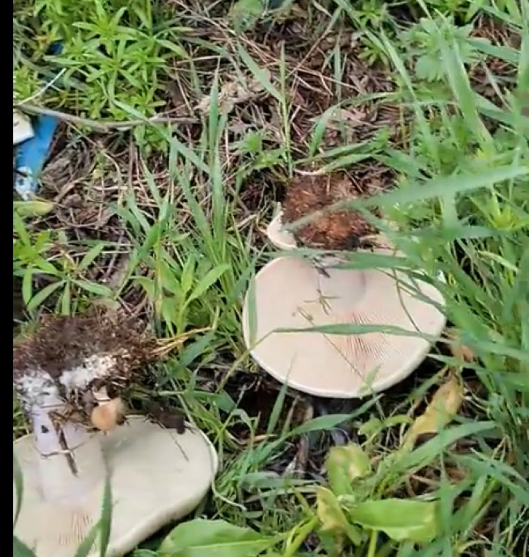 КаспийИнфо. Новости Астрахани и региона