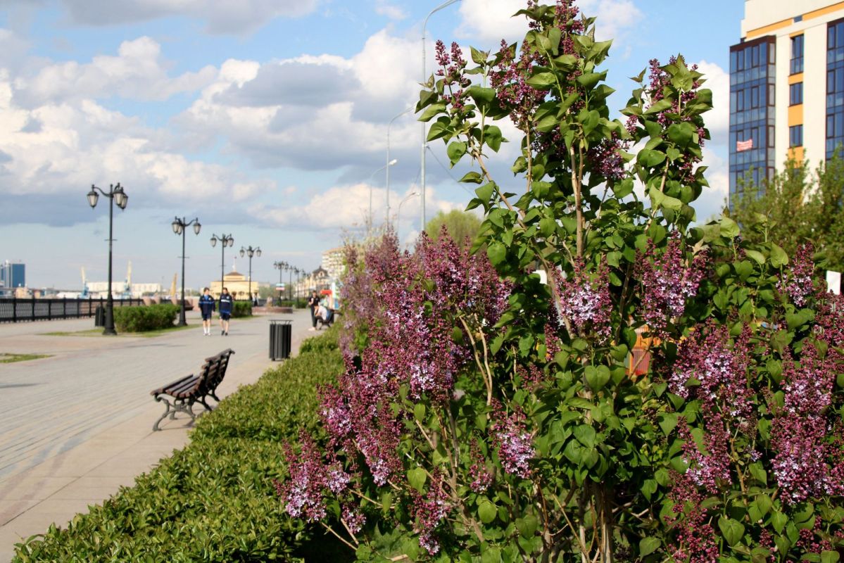 КаспийИнфо. Новости Астрахани и региона