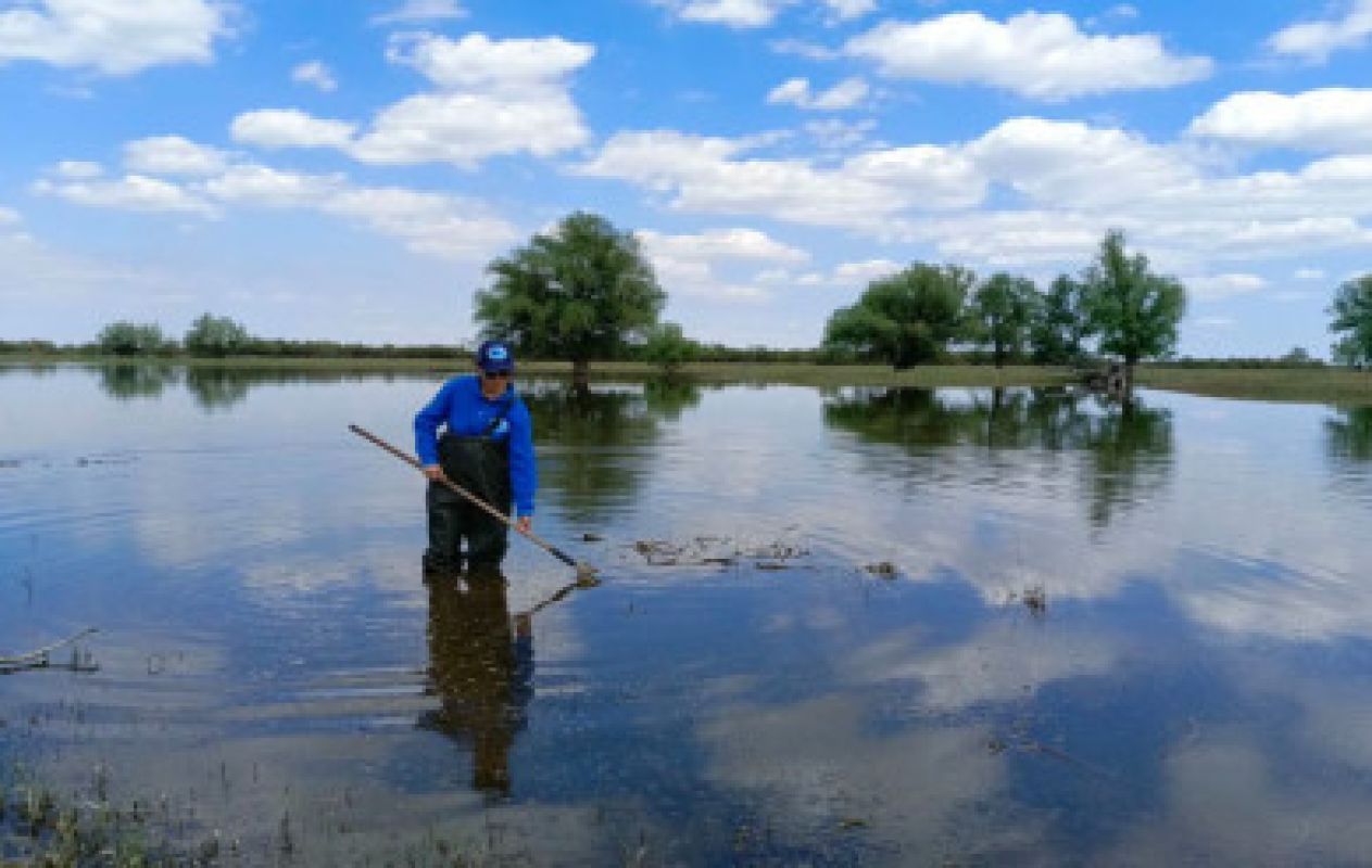 КаспийИнфо. Новости Астрахани и региона