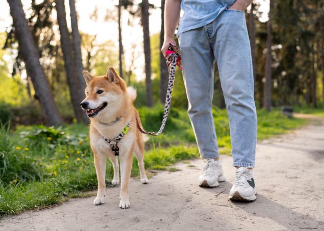 Фото © freepik.com