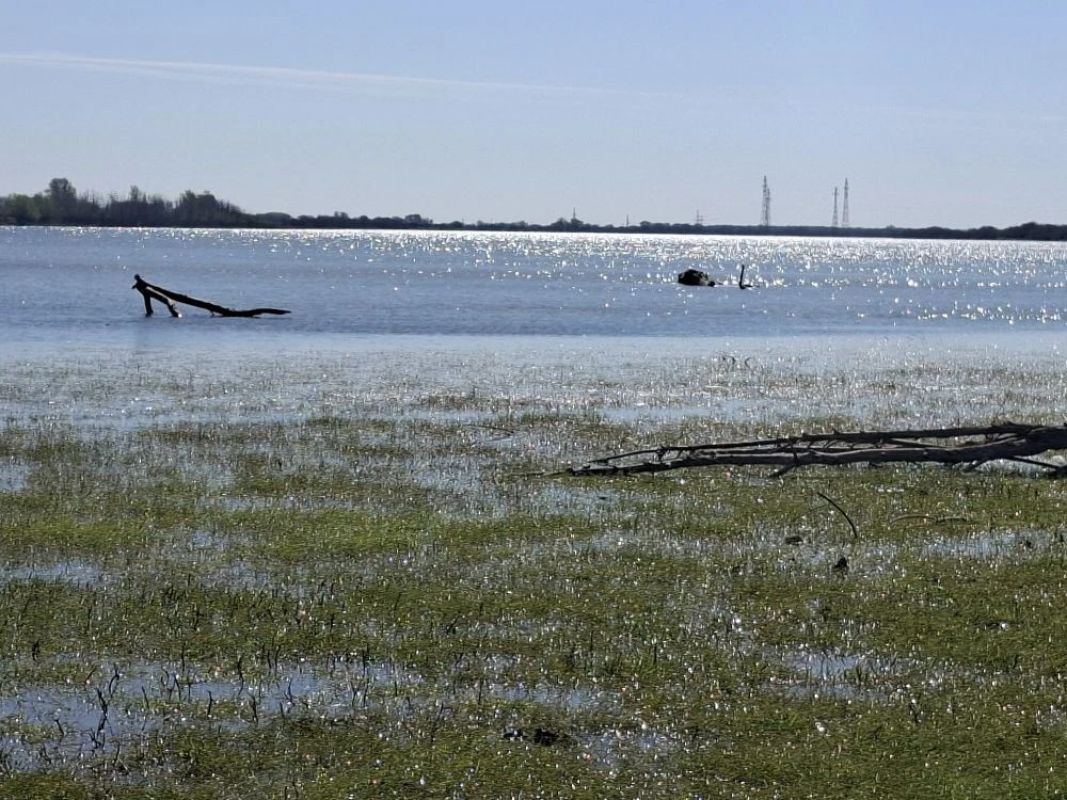 КаспийИнфо. Новости Астрахани и региона