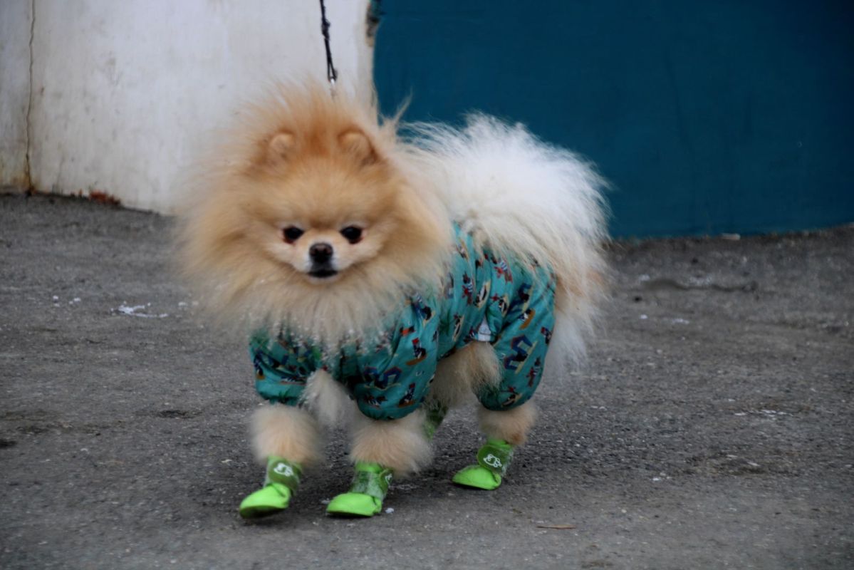 КаспийИнфо. Новости Астрахани и региона