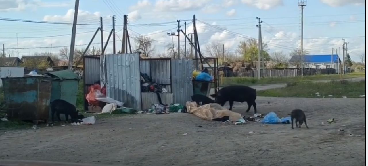 КаспийИнфо. Новости Астрахани и региона