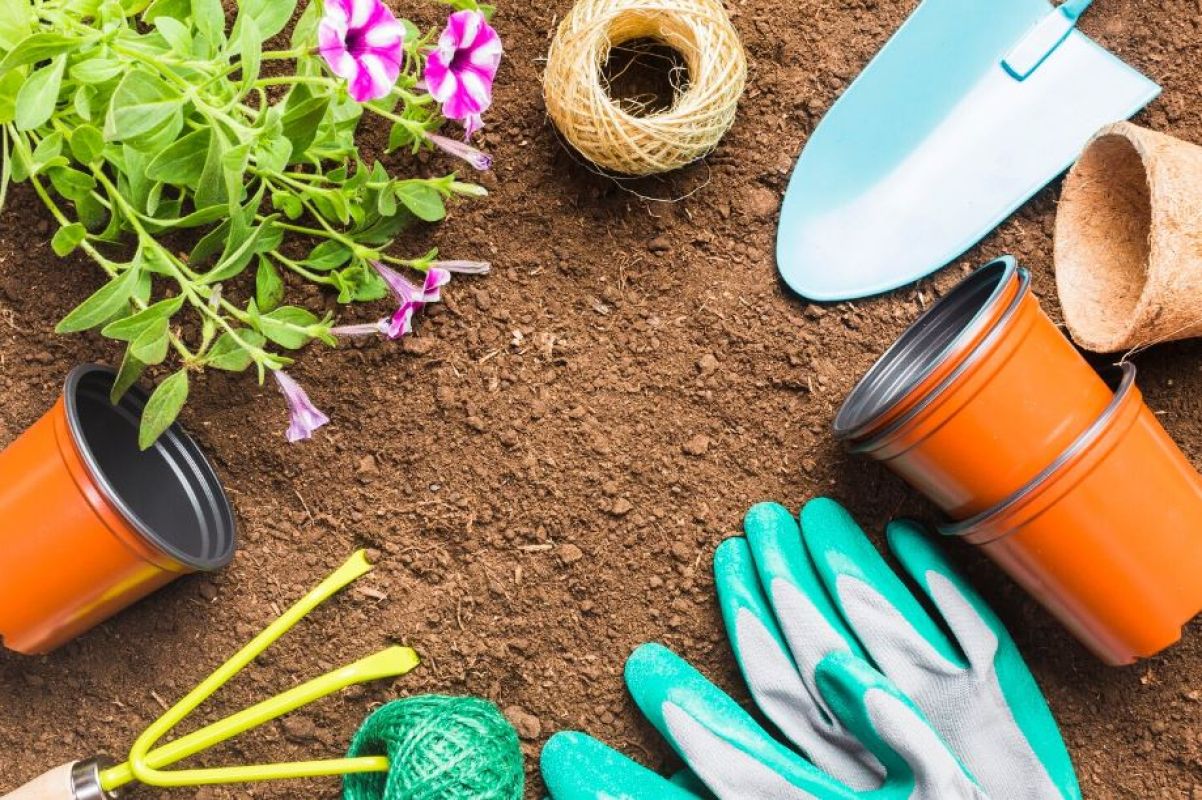 КаспийИнфо. Новости Астрахани и региона