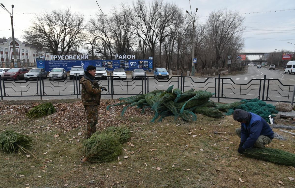 В Трусовском районе Астрахани устанавливают 14-метровую елку из 500