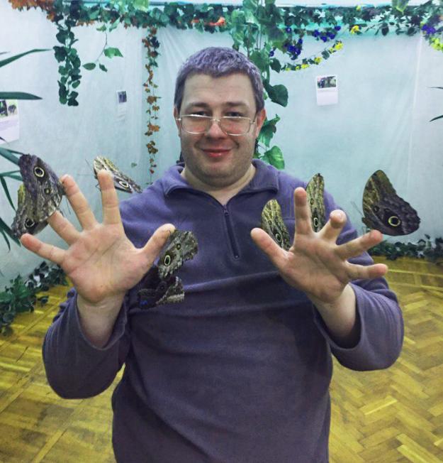 Выставка бабочек и пауков тула рио. Выставка бабочек. Выставка бабочек в Астрахани 2022. Выставка бабочек Липецк. Выставка бабочек в Астрахани.