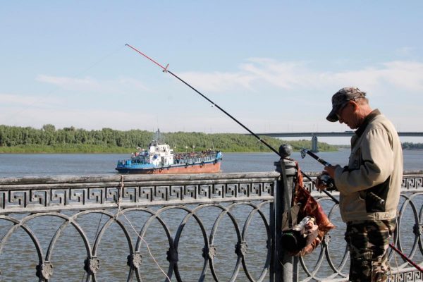 Рыбак рассказал, что происходит с щукой в Астраханской области