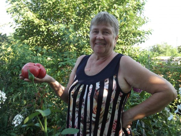 Нина Александровна Коняева с великолепными помидорами.