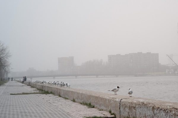 гарь
